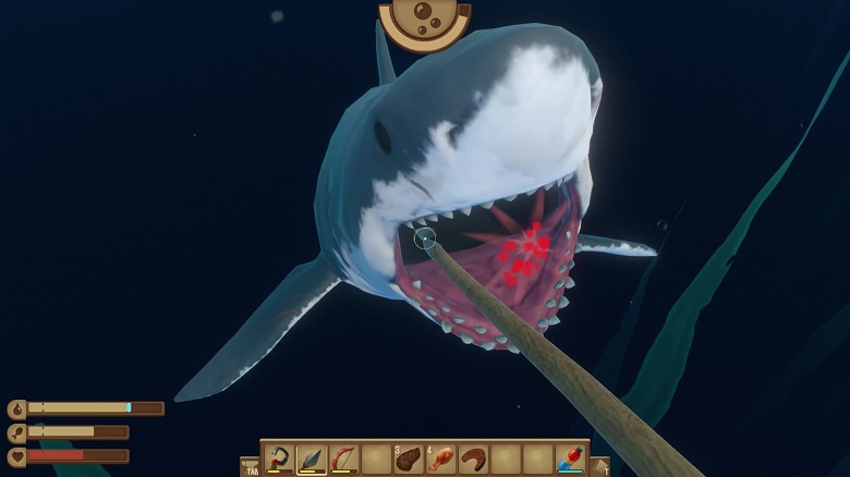 サメの顔を攻撃